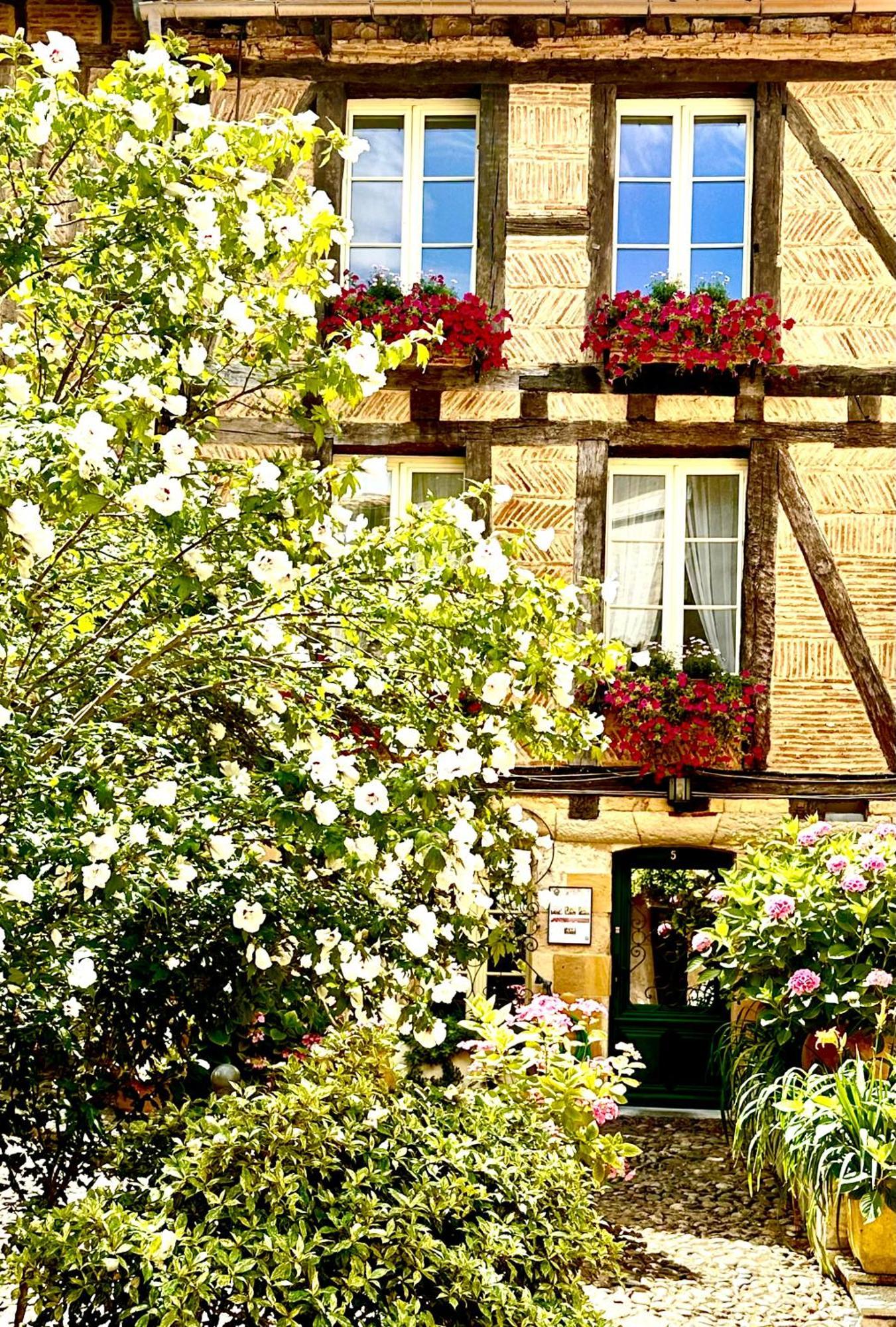 Le Logis Plantagenet Bed & Breakfast Bergerac Exterior photo